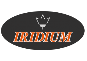 Wohnmobil kaufen neu Logo-Iridium